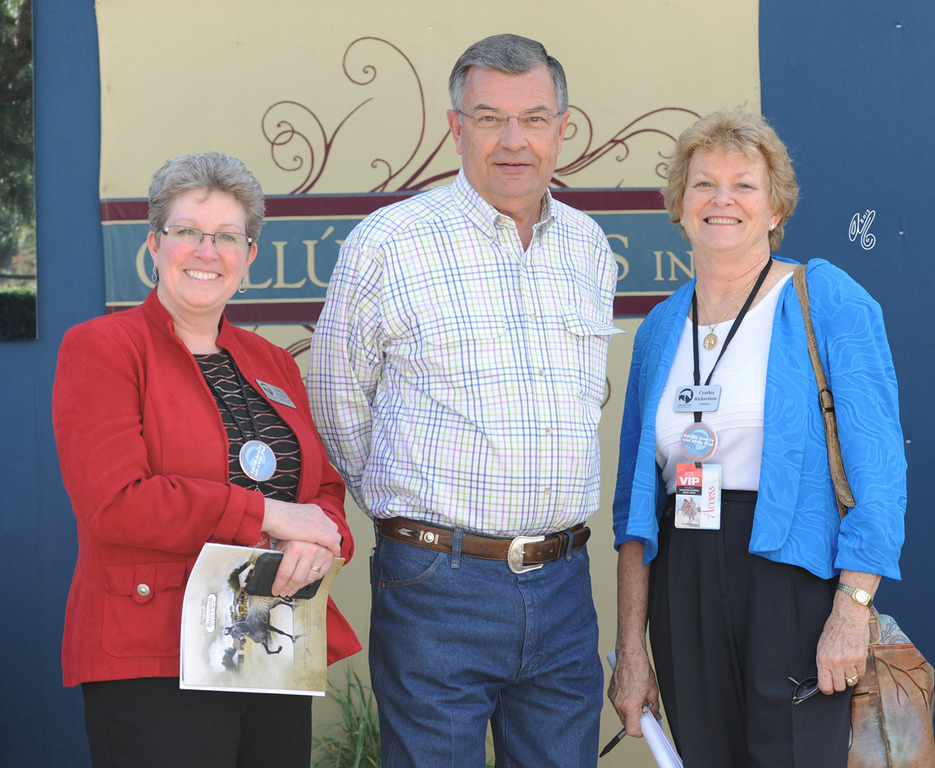 Lisa Abraham: 2015 Scottsdale Arabian Show Photo Gallery