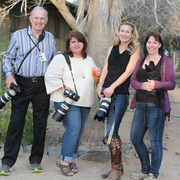 Lisa Abraham: 2015 Scottsdale Arabian Show Photo Gallery