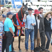 Champion Junior Colt: Soul of Marwan AS (Marwan Al Shaqab X RD Challs Angel)