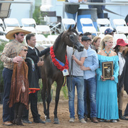 Champion Junior Filly: Pitonisa AS (Ever After NA X Psyches Amber Dream)