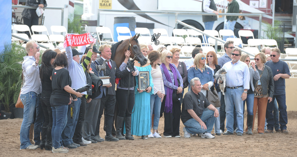 Champion Mare: Wieza Mocy (QR Marc X Wieza Marzen)