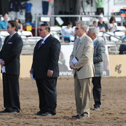 The 2015 panel of Judges 