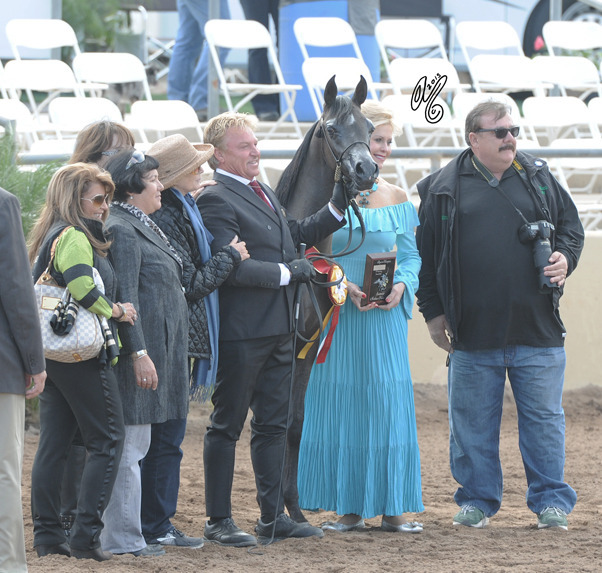 Reserve Champion Junior Filly: Byronica RH (ROL Intencyty X Sylviah WLF)