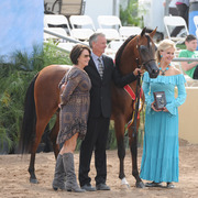 Reserve Champion Stallion: Truest (Trussardi X Marlene Dietrich)