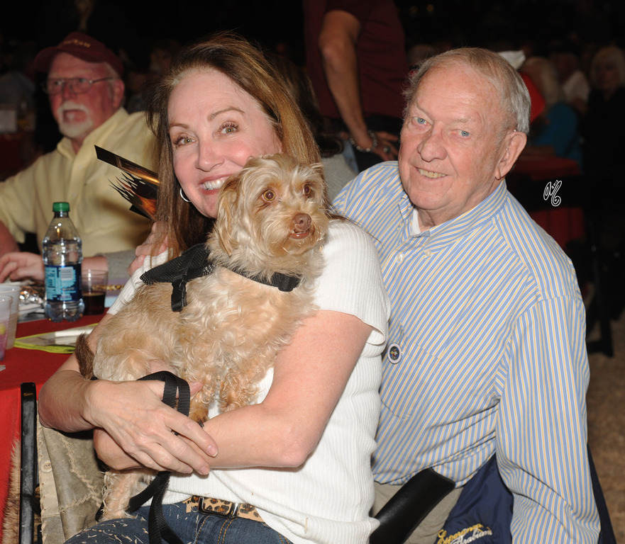 Scottsdale Signature Stallion Auction