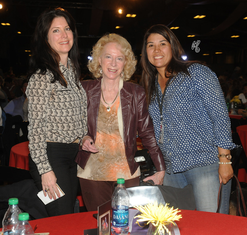 Scottsdale Signature Stallion Auction