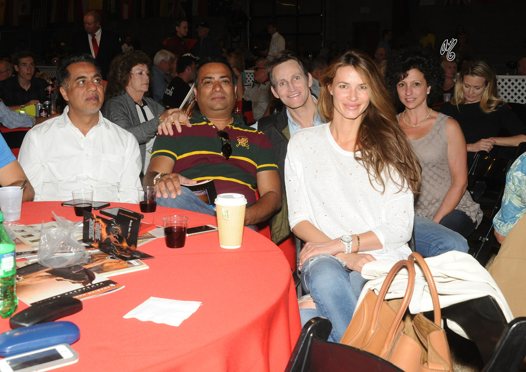 Scottsdale Signature Stallion Auction