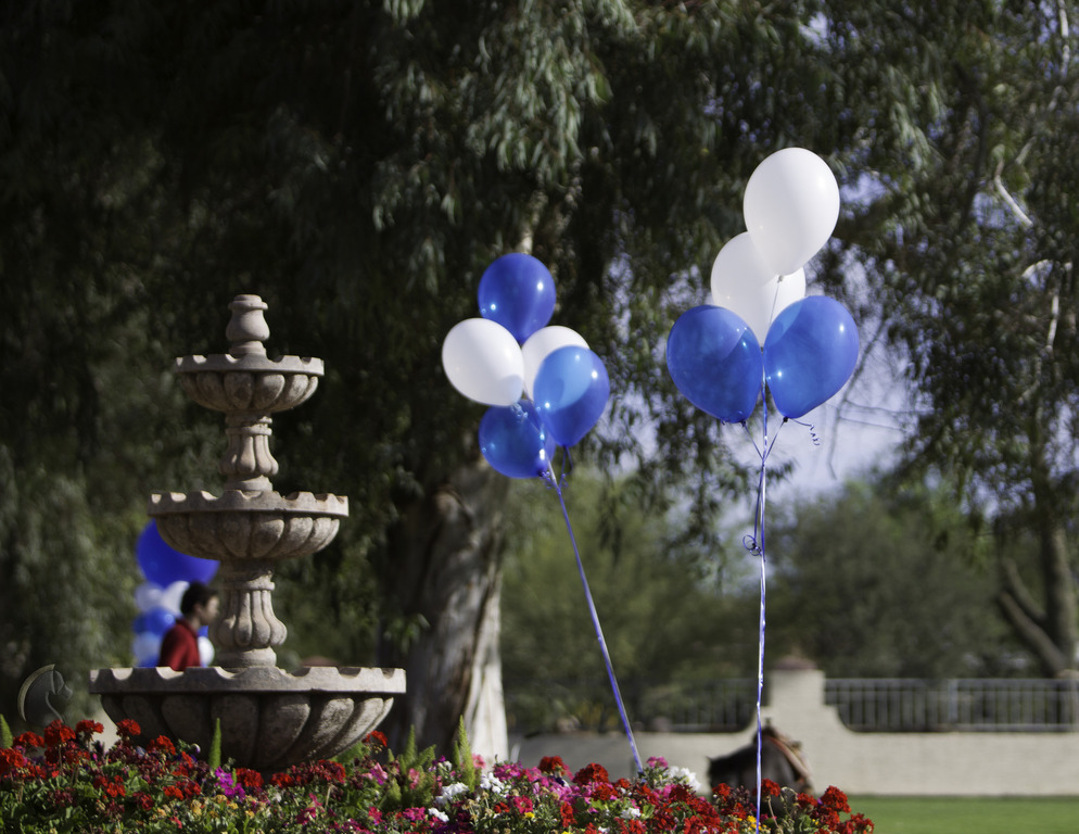 Kids Day on an Arabian Horse Farm