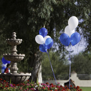 Kids Day on an Arabian Horse Farm