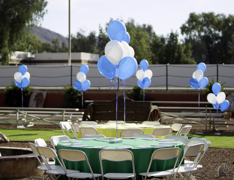 Kids Day on an Arabian Horse Farm