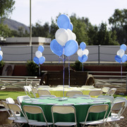 Kids Day on an Arabian Horse Farm