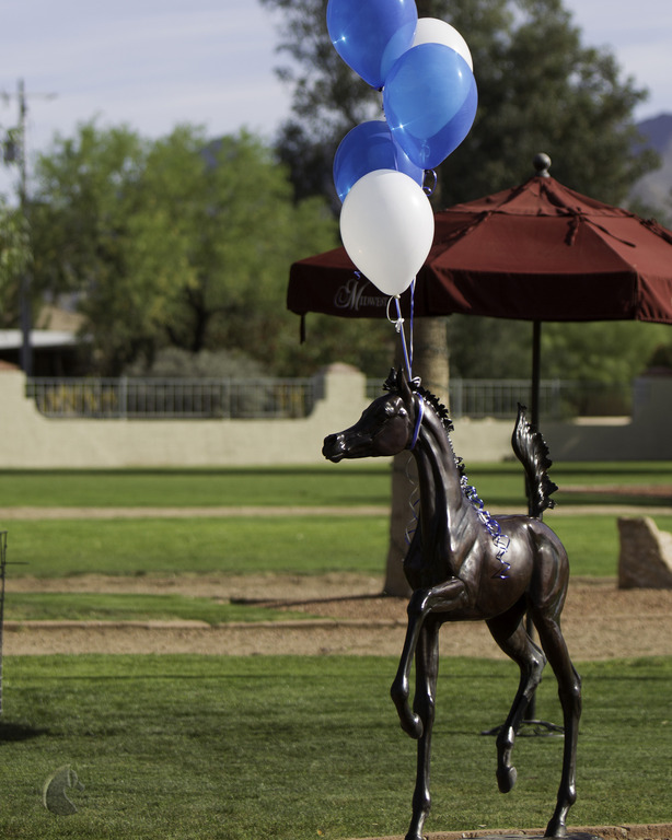 Kids Day on an Arabian Horse Farm
