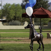 Kids Day on an Arabian Horse Farm