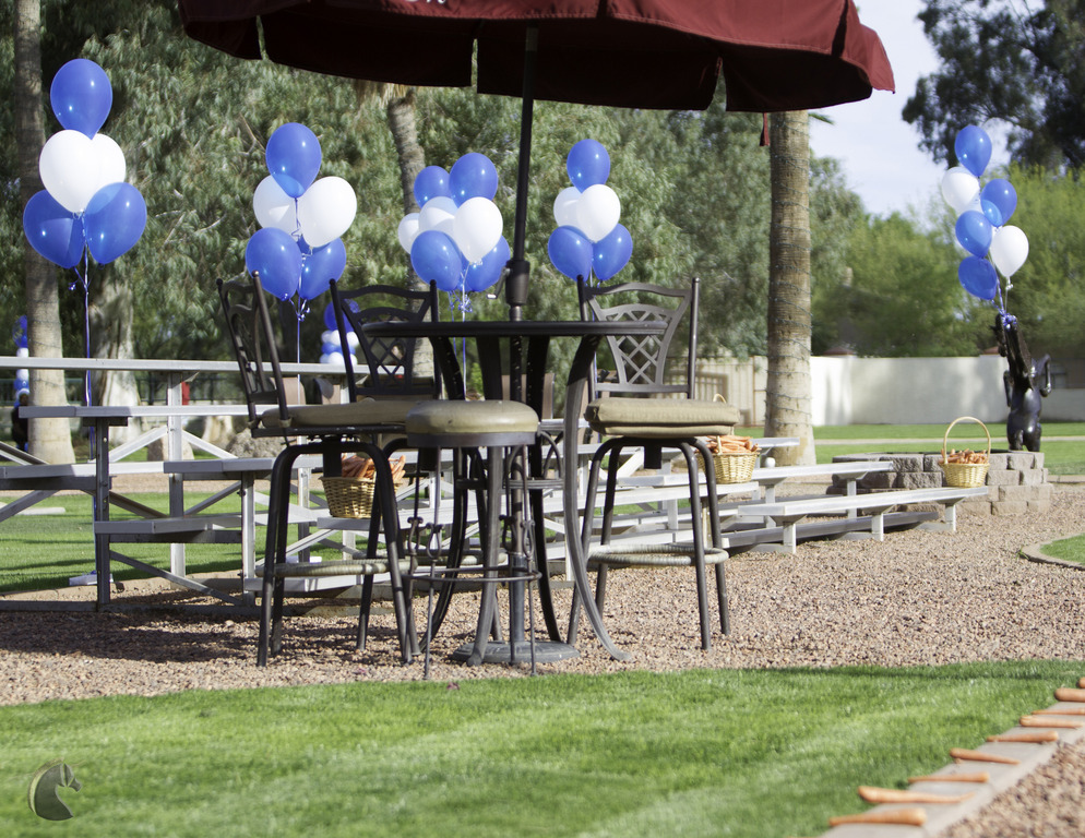 Kids Day on an Arabian Horse Farm