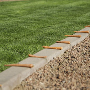 Kids Day on an Arabian Horse Farm