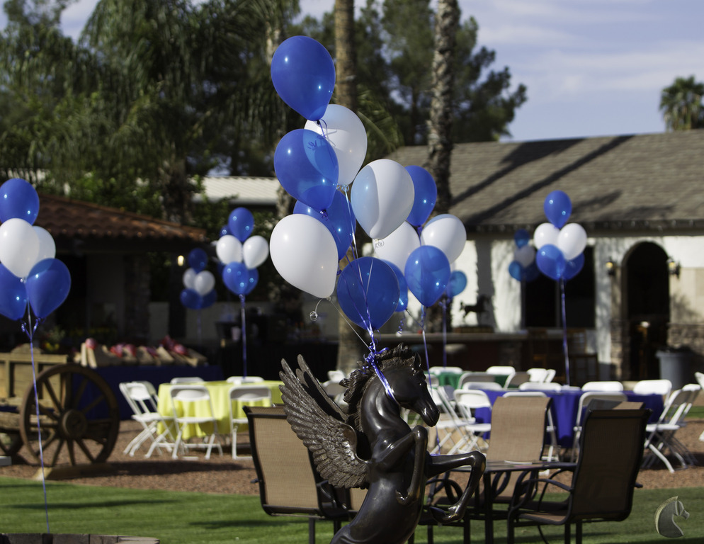 Kids Day on an Arabian Horse Farm