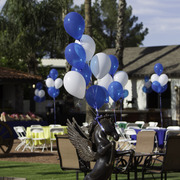 Kids Day on an Arabian Horse Farm
