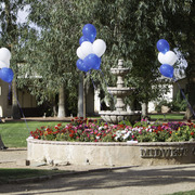 Kids Day on an Arabian Horse Farm