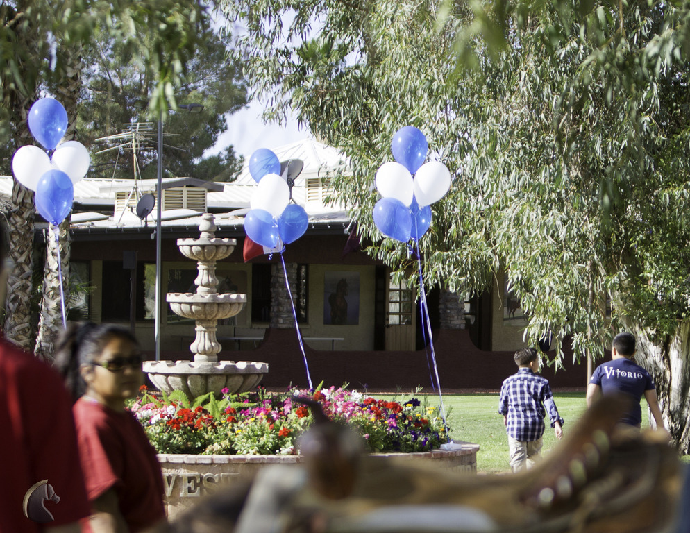 Kids Day on an Arabian Horse Farm