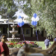 Kids Day on an Arabian Horse Farm