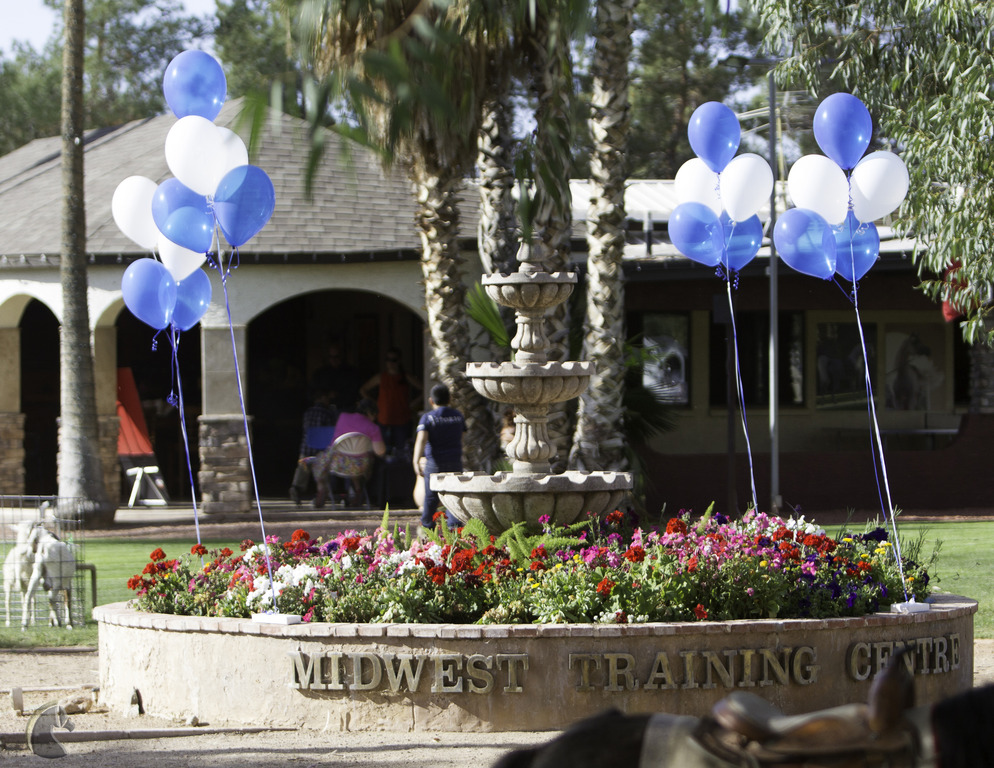 Kids Day on an Arabian Horse Farm
