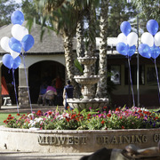Kids Day on an Arabian Horse Farm