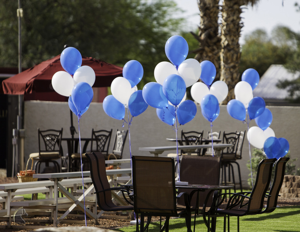 Kids Day on an Arabian Horse Farm