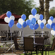 Kids Day on an Arabian Horse Farm
