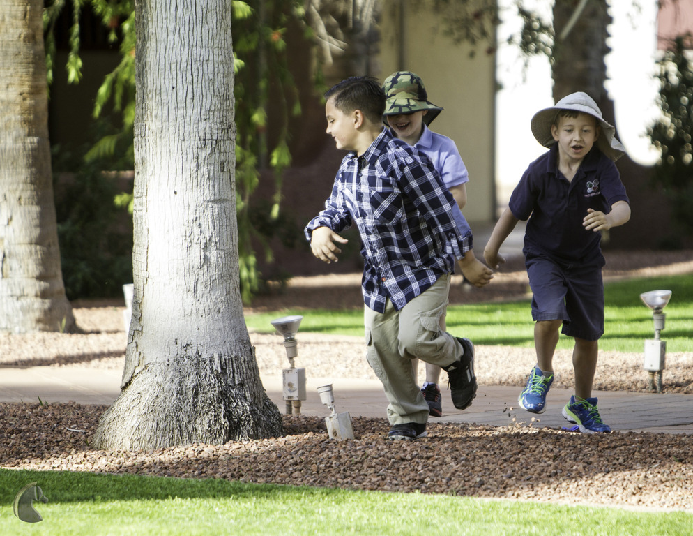 Kids Day on an Arabian Horse Farm