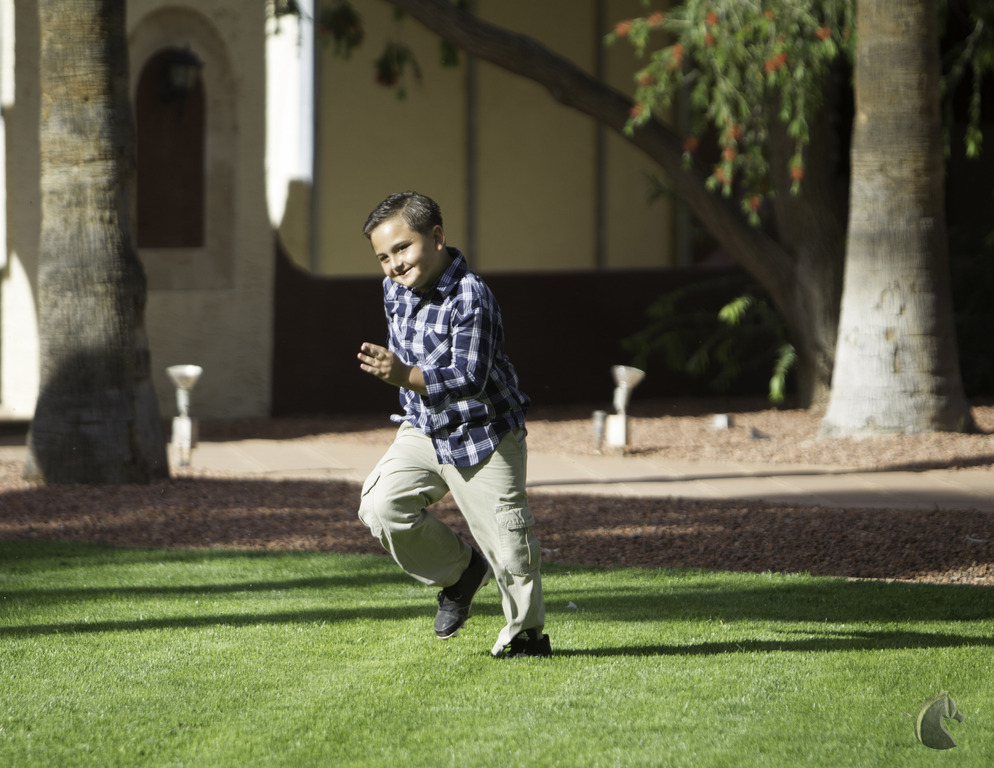 Kids Day on an Arabian Horse Farm