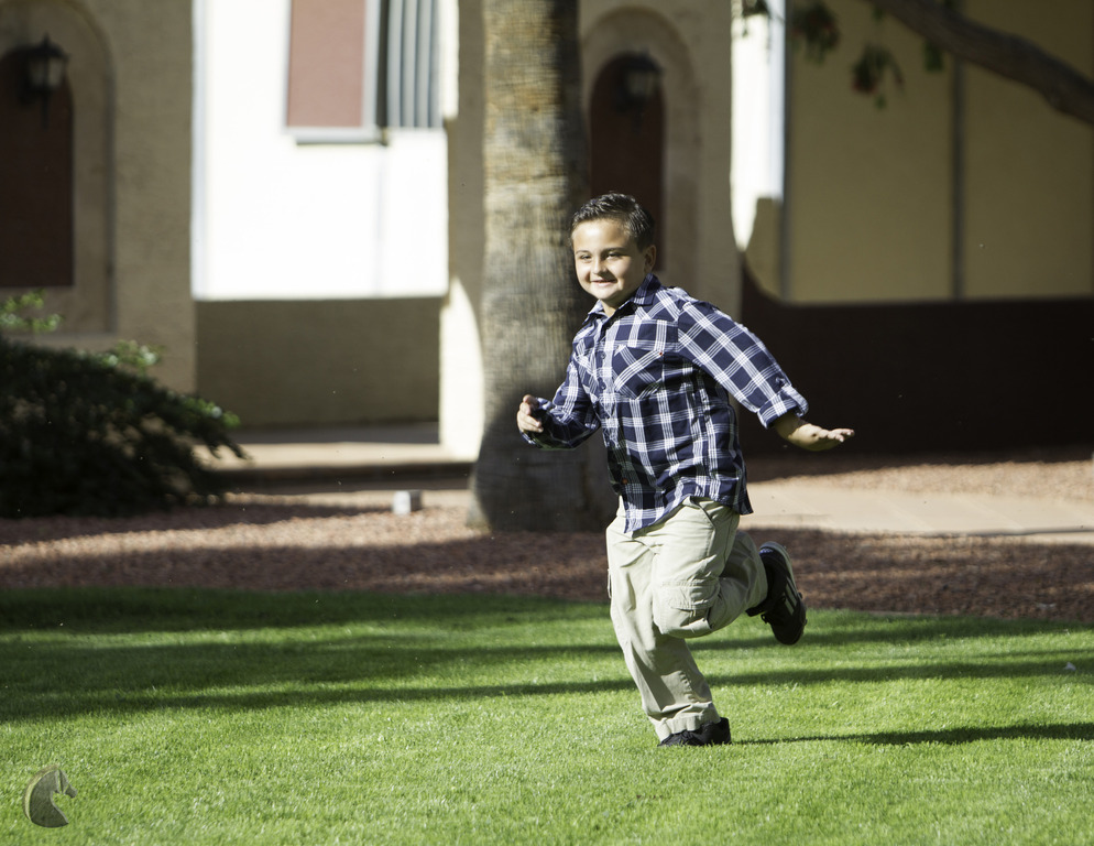 Kids Day on an Arabian Horse Farm