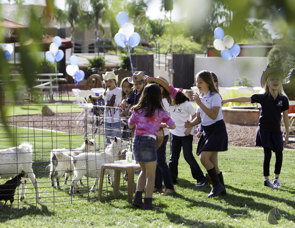 Kids Day on an Arabian Horse Farm