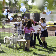 Kids Day on an Arabian Horse Farm