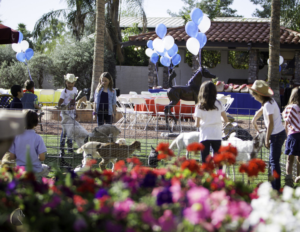 Kids Day on an Arabian Horse Farm