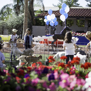 Kids Day on an Arabian Horse Farm