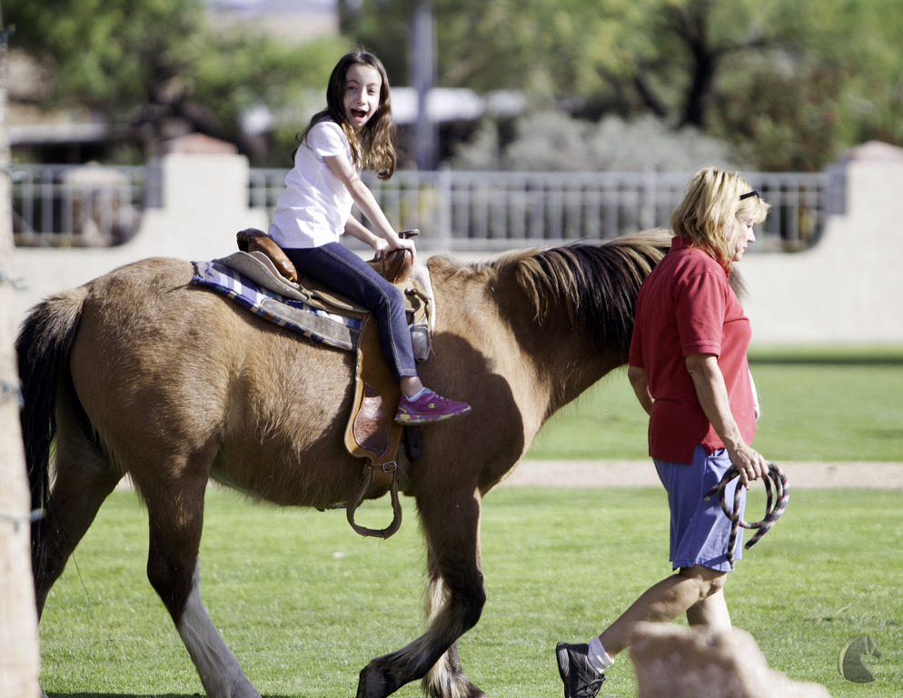 Kids Day on an Arabian Horse Farm