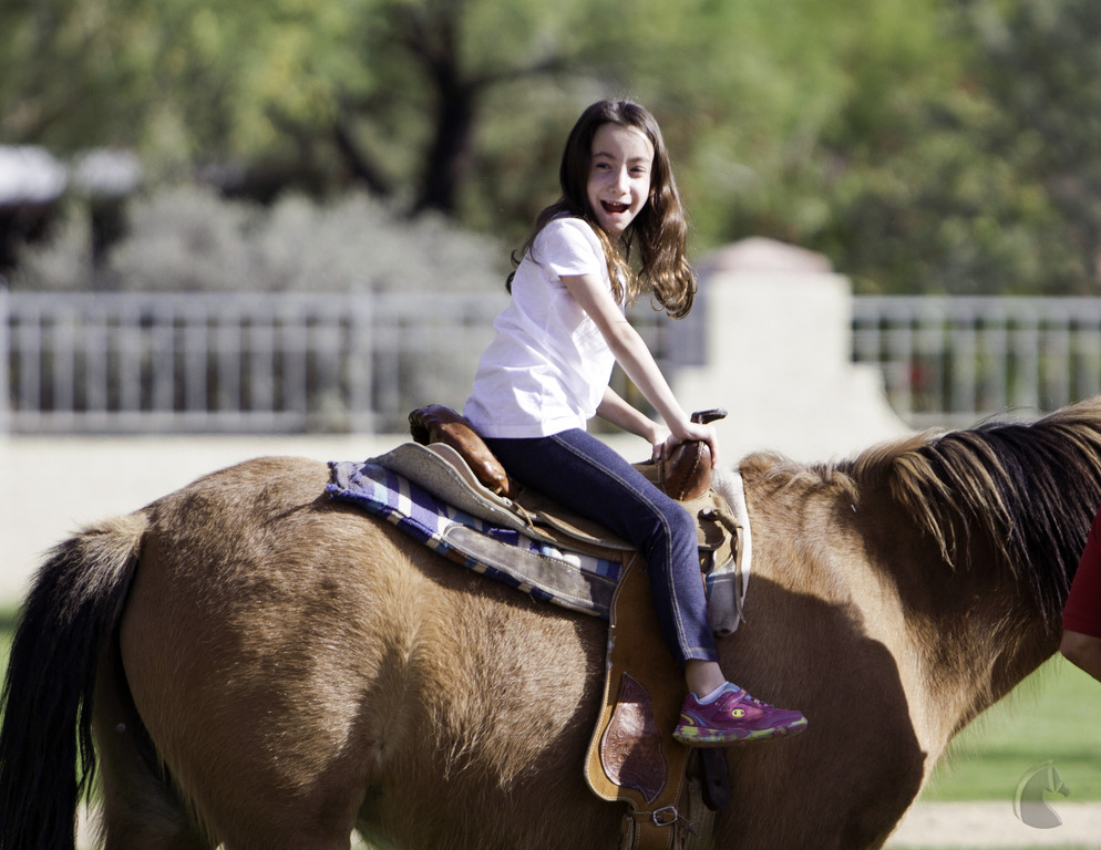 Kids Day on an Arabian Horse Farm