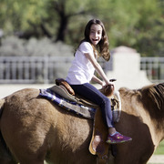 Kids Day on an Arabian Horse Farm
