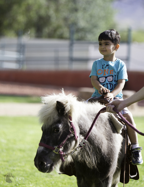 Kids Day on an Arabian Horse Farm