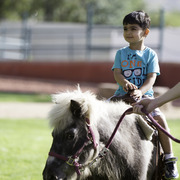 Kids Day on an Arabian Horse Farm