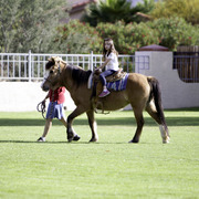 Kids Day on an Arabian Horse Farm