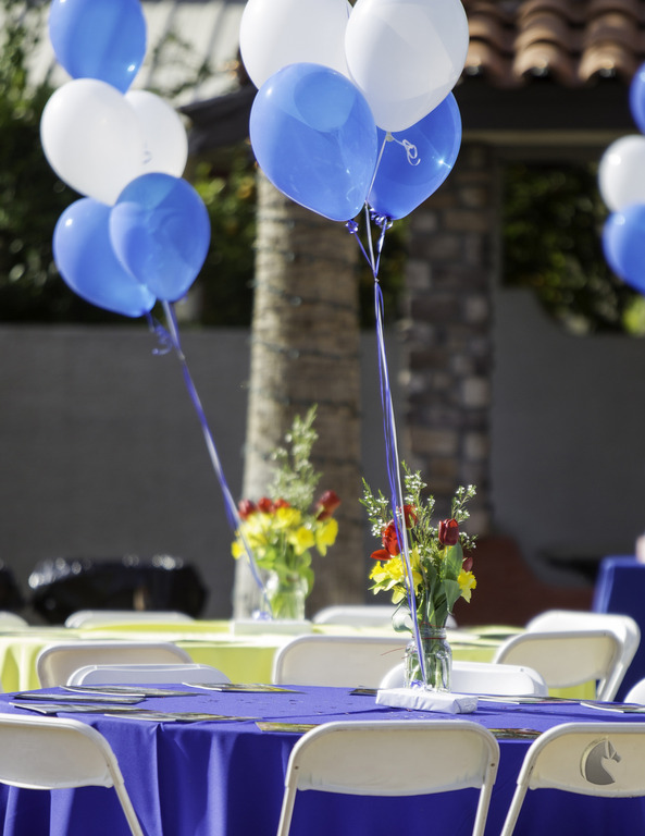 Kids Day on an Arabian Horse Farm