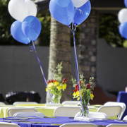 Kids Day on an Arabian Horse Farm