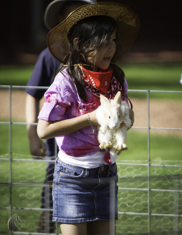 Kids Day on an Arabian Horse Farm