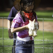 Kids Day on an Arabian Horse Farm