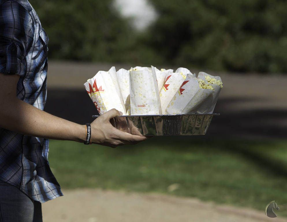 Kids Day on an Arabian Horse Farm