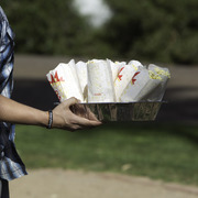 Kids Day on an Arabian Horse Farm