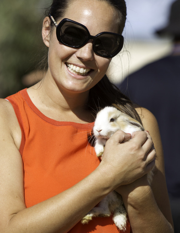Kids Day on an Arabian Horse Farm
