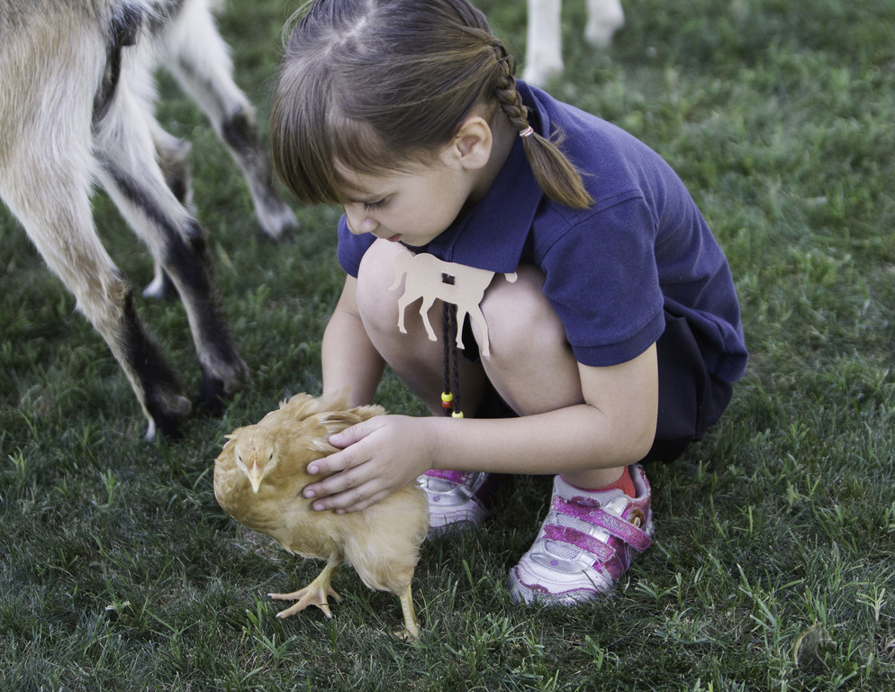 Kids Day on an Arabian Horse Farm