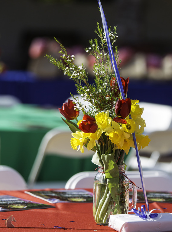 Kids Day on an Arabian Horse Farm